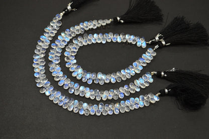 Natural Rainbow Moonstone Pear Shape Beads , Sold By Strand , 8 Inches , 4.50x7 - 4.50x8 mm , 32211