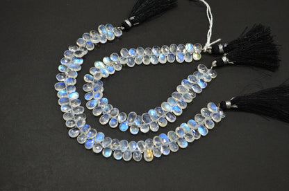 Natural Rainbow Moonstone Pear Shape Beads , Sold By Strand , 8 Inches , 5.50x7 - 5.50x9 mm , 32225