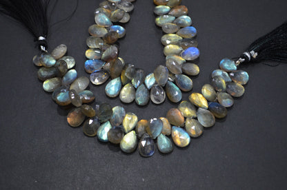Labradorite Pear Shape Beads , Sold By Strand , 7 Inches , 9x12 - 10x15 mm , 32468